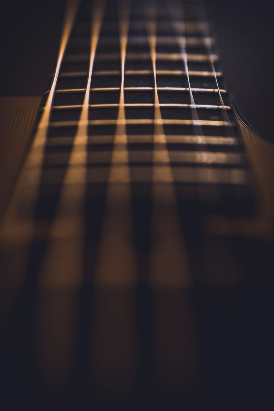 Fresh frets on a guitar neck